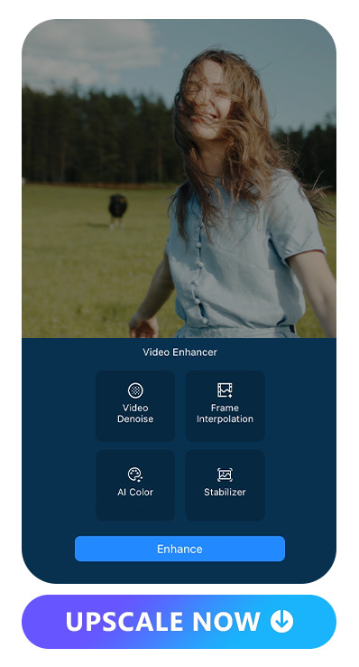 PowerDirector's video enhancer UI including video denoise, frame interpolation, color adjustment and stabilizer